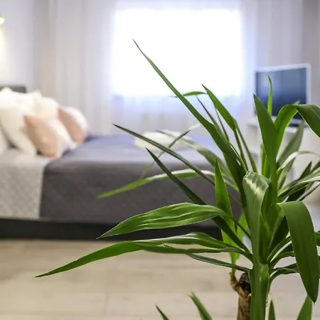 Cracow By Night Kraków